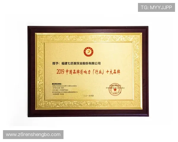 尊龙集团(Z6)如何打造具有国际影响力的企业品牌