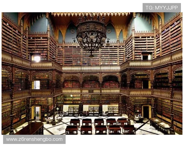 D88尊龙在线官网的最新优惠政策与会员等级制度详解