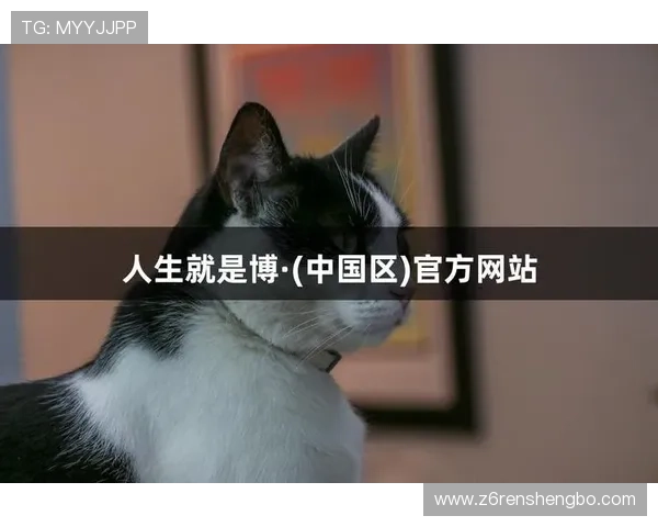 尊龙人生就是博官网登陆专业的技术支持确保平台运行稳定顺畅